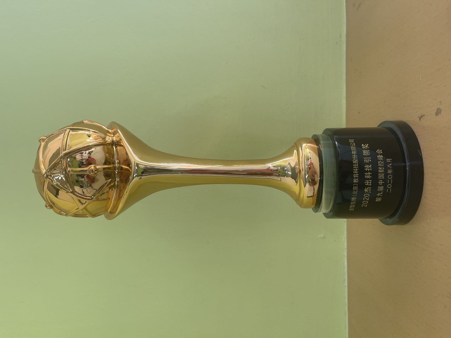 2020杰出科技引领奖