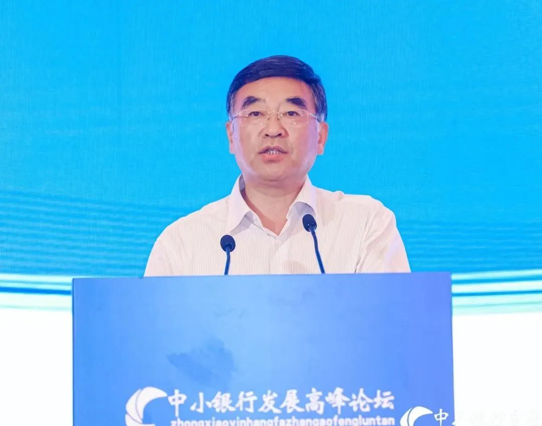 提质增效,数智未来丨2023(第十一届)中小银行发展高峰论坛在武汉盛大召开! 金智东博郭鉴旻董事长进行了主旨演讲(图7)